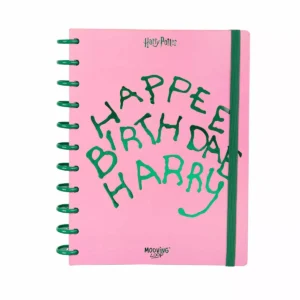 Cuaderno de Discos Carta Harry Potter