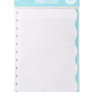 Repuesto Carta Cuadriculado 30 hjs.